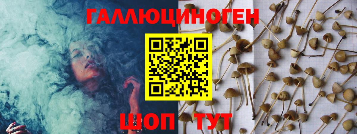 Минусинск  Галлюциногенные грибы прущие грибы  Вход с VPN 
